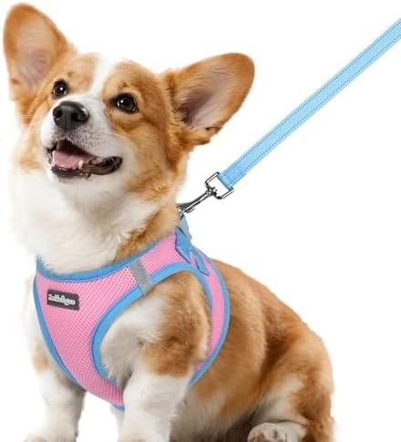 rabbitgoo Dog Harness Small Sized and Leash Set, Step in Soft Vest by rabbitgoo
