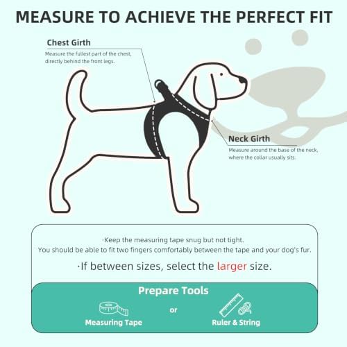 PUPTECK Dog Harness, Collar and Leash Set No Pull - Image 2