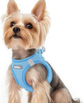 rabbitgoo Step-in Small Dog Harness, Puppy Vest by rabbitgoo
