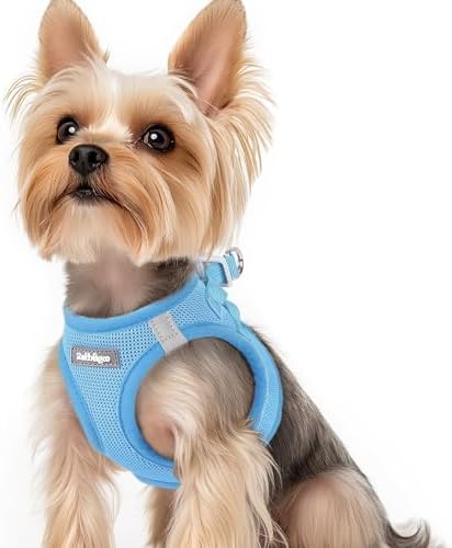 rabbitgoo Step-in Small Dog Harness, Puppy Vest by rabbitgoo