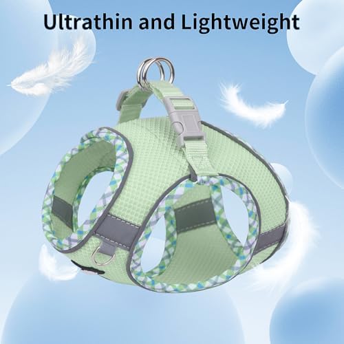 AIITLE Tiny Dog Harness and Leash Set, Step-in Vest - Image 2
