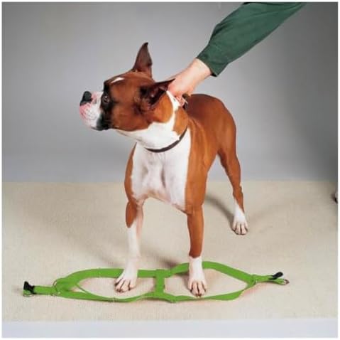 Dog Harness Easy to Use 2 Step Secure Safe Comfortable Firm No Struggle Pull - Image 3