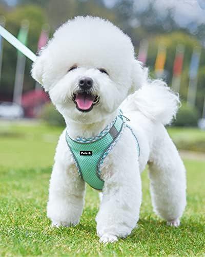 Petank Step in Dog Harness No Pull and Leash - Image 2