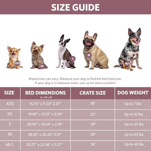 QuietTime by Midwest 22" Dog Crate Bolster Bed, Fashion Pink, Small Breeds - Image 7