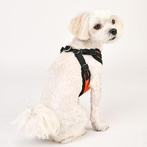 Puppia Dog Harness Comfort Mesh Step-in All Season No Pull No Choke Walking - Image 5
