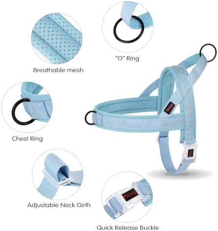 Didog No Pull Dog Harness with Breathable Mesh Padded, Quick Fit & Easy on Dog - Image 5