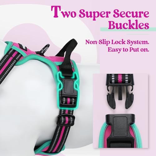 rabbitgoo Dog Harness, No Pull Medium Sized - Image 3