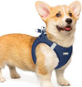 rabbitgoo Step-in Small Dog Harness, Puppy Vest by rabbitgoo