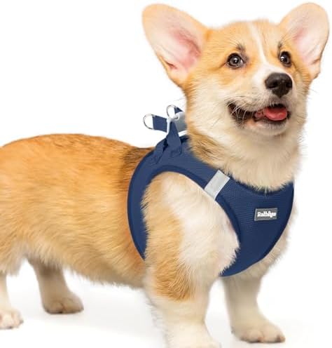 rabbitgoo Step-in Small Dog Harness, Puppy Vest by rabbitgoo