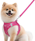 rabbitgoo Dog Harness Small Sized and Leash Set, Step in Soft Vest by rabbitgoo