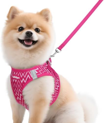 rabbitgoo Dog Harness Small Sized and Leash Set, Step in Soft Vest by rabbitgoo