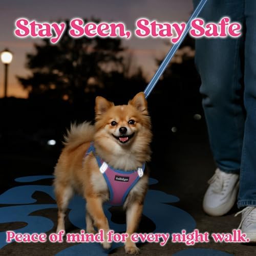 rabbitgoo Dog Harness Small Sized and Leash Set, Step in Soft Vest - Image 5
