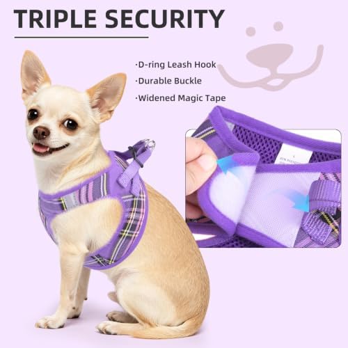 PUPTECK Dog Harness, Collar and Leash Set No Pull - Image 5