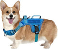 Dog Harness, Tactical No Pull for Small Sized Dog by Runfido