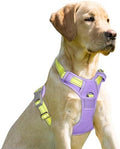 BARKBAY Dog Harness No Pull for Small Sized Dog Front Back Clips, Dog Vest by BARKBAY