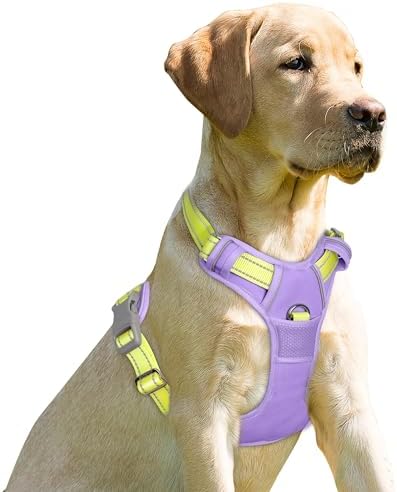 BARKBAY Dog Harness No Pull for Small Sized Dog Front Back Clips, Dog Vest by BARKBAY