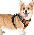 rabbitgoo Dog Harness Small Sized, Updated Easy On & Off by rabbitgoo