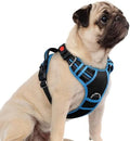 rabbitgoo Dog Harness Small Sized, No Pull 3 Buckles Easy On & Off by rabbitgoo