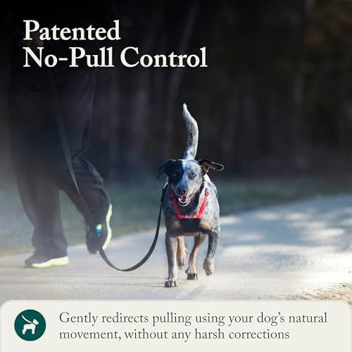 Sporn No Pull Dog Harness, Durable Nylon Mesh Harness - Image 6