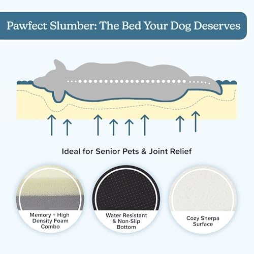 PETMAKER Orthopedic Dog Bed - Image 5