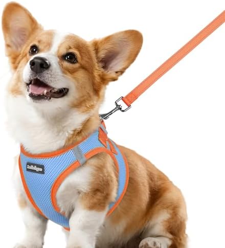 rabbitgoo Dog Harness Small Sized and Leash Set, Step in Soft Vest by rabbitgoo