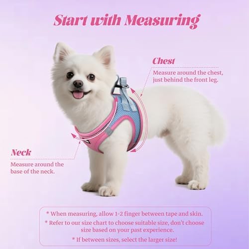 No Pull Dog Puppy Harness and Leash Set Reflective Mesh Vest XX-Small - Image 2