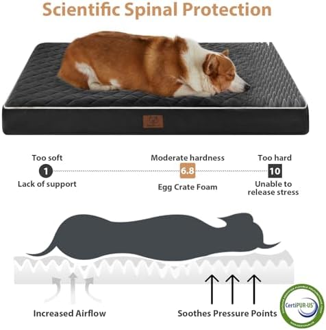 WNPETHOME Orthopedic Waterproof Large Dog Bed - Image 3