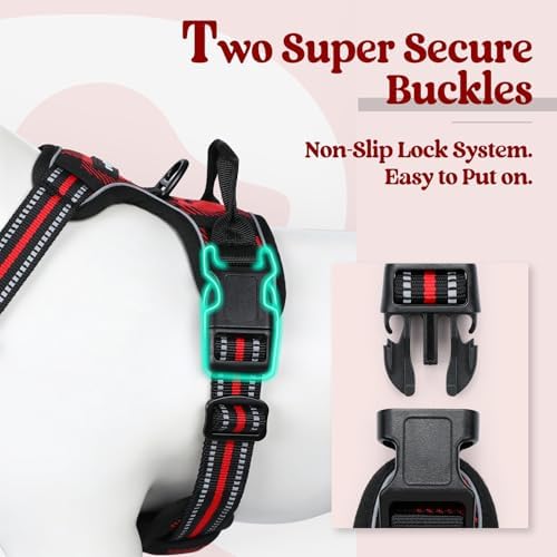rabbitgoo Dog Harness, No Pull for Small Dogs - Image 3