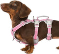 Huntboo No Escape Dog Harness, Escape Proof Harness, Fully Reflective Harness by Huntboo