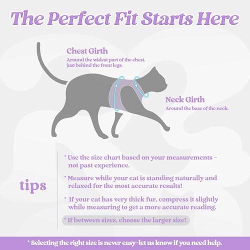 rabbitgoo Cat Harness and Leash Set, Step-in Soft Vest - Image 2
