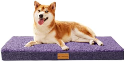 Patas Lague Orthopedic Medium Dog Bed Pet Sofa Mat 30''X20'' Purple by PatasLague