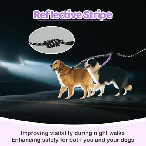Double Dog Leash - Image 6