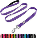 6 FT Basic Dog Leash for Medium Dogs by Penseepet