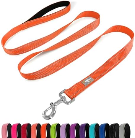 6 FT Basic Dog Leash for Large Dogs by Penseepet