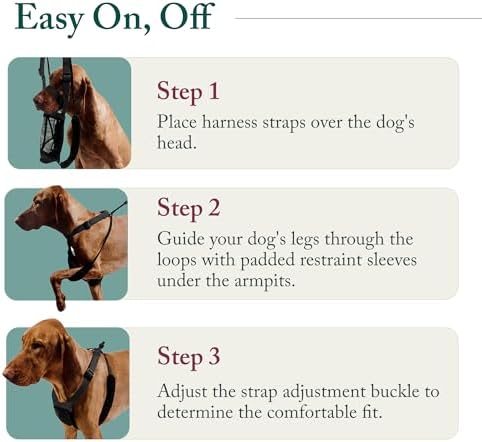 Sporn No Pull Dog Harness, Durable Nylon Mesh Harness - Image 5