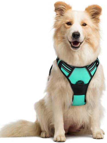 rabbitgoo Dog Harness, No Pull Medium Sized by rabbitgoo