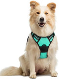 rabbitgoo Dog Harness, No Pull Medium Sized by rabbitgoo