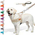 BEAUTYZOO Dog Harness for Large Dogs, No Pull Step in Pet Vest and Leash Set by BEAUTYZOO