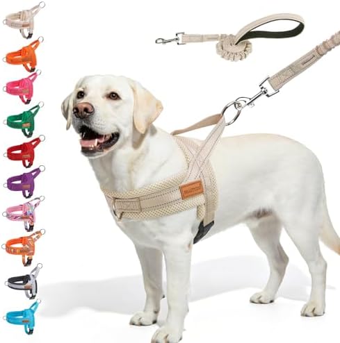 BEAUTYZOO Dog Harness for Large Dogs, No Pull Step in Pet Vest and Leash Set by BEAUTYZOO