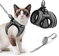 rabbitgoo Cat Harness and Leash Set, Step-in Soft Vest by rabbitgoo