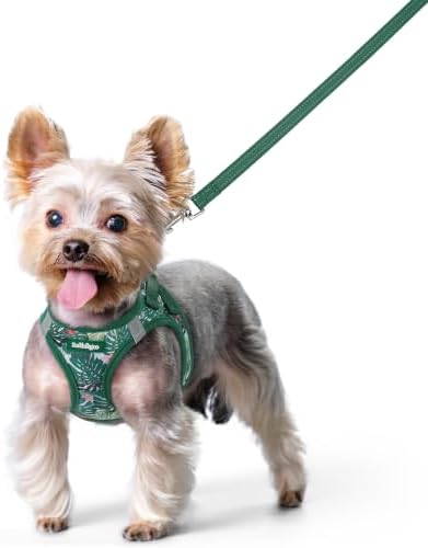 rabbitgoo Dog Harness Small Sized and Leash Set, Step-in Puppy Pet Vest by rabbitgoo