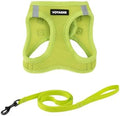 Voyager Step-in Air Cat Harness & Leash Set by BestPetSuppliesLLC