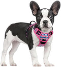 rabbitgoo Dog Harness, No Pull for Large Dogs by rabbitgoo