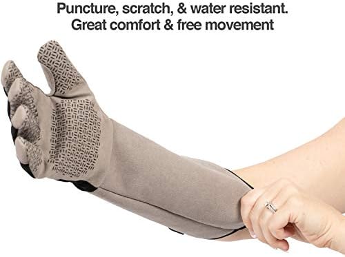 PetFusion Multipurpose Pet Glove - Image 2