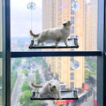 2 Pack Cat Hammock for Window Wall by YILAGCDDVDCase