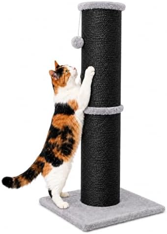 PAWSCRAT 32-Inch Tall Cat Scratching Post, 5.5-Inch Diameter by PAWSCRAT