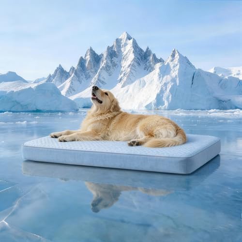 Cooling Dog Bed for Large Dogs, Washable Memory Foam Dog Beds for Crate by WATANIYAPET