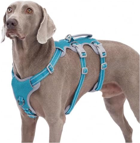 Huntboo Escape Proof Dog Harness, No Pull Reflective Harness by Huntboo