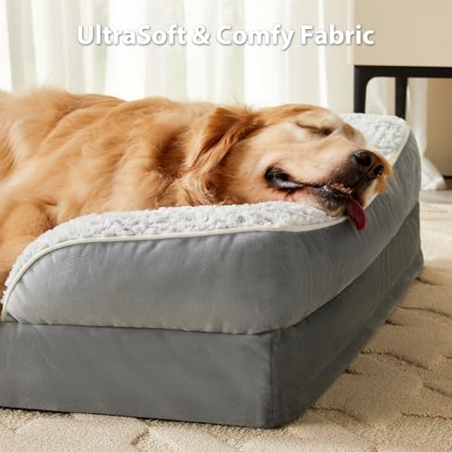 LEXTRO Washable Orthopedic Dog Bed - Image 2