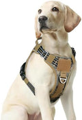 rabbitgoo Tactical Dog Harness Medium Sized, No Pull Service Pet Vest by rabbitgoo